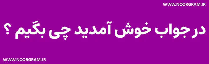 در جواب خوش آمدید چی بگیم طنز