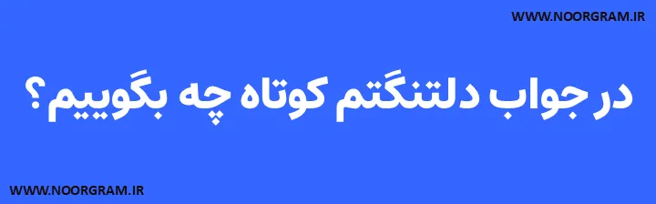 در جواب دلتنگتم کوتاه چه بگوییم؟